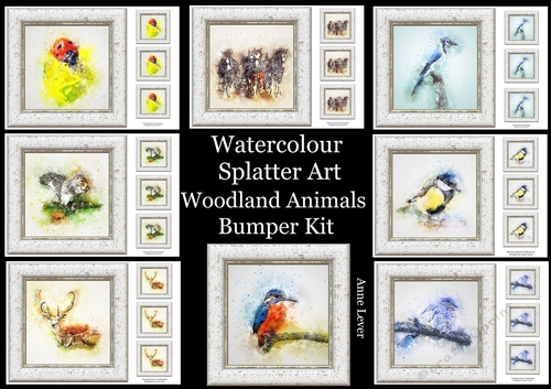 Watercolour Splatter Art - Woodland Animals - Exclusive Bumper Kit