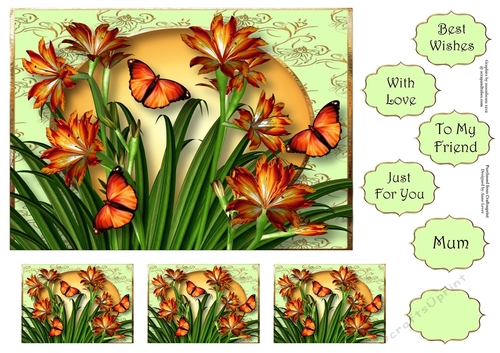 Orange Lilies & Flutters A5