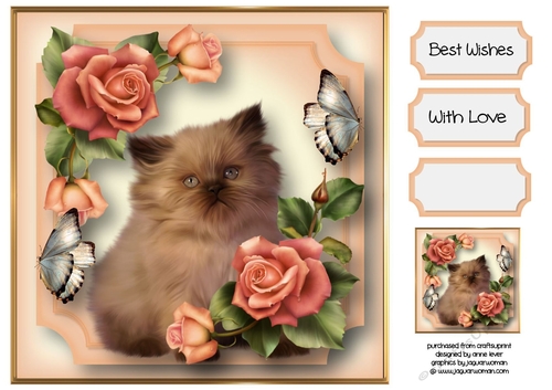 Kitten, Roses & Flutters 8x8