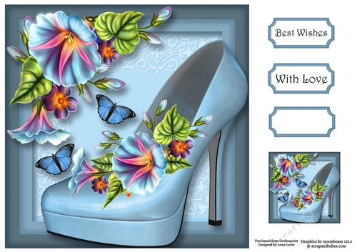 The Summer Shoe With Morning Glory 8x8