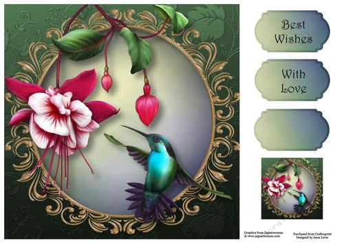 Fuschia & Humming Bird 8x8