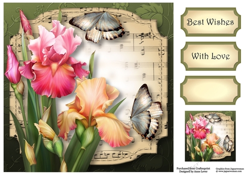 Sheet Music Plaque - Blush Iris 8x8