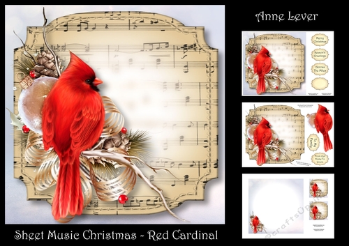 Sheet Music Christmas - Red Cardinal