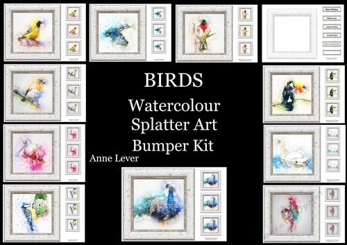 Watercolour Splatter Art - BIRDS - Exclusive Bumper Kit