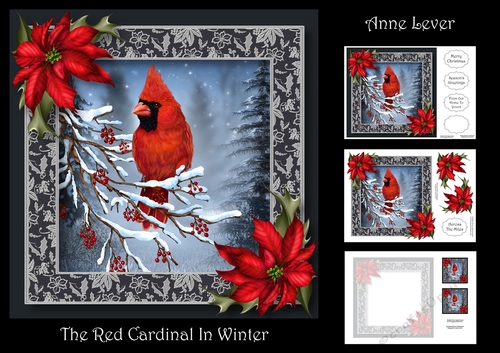 The Red Cardinal In Winter
