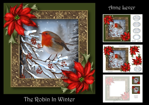 The Robin In Winter