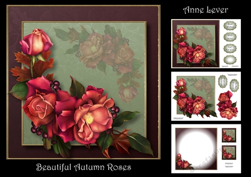 Beautiful Autumn Roses