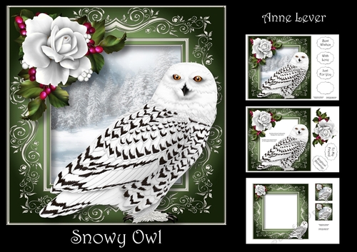 Snowy Owl