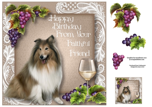Happy Birthday From The Dog - Collie 8x8