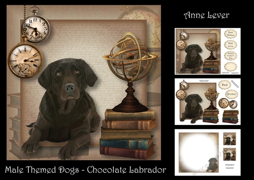 Male Themed Dogs - Chocolate Labrador