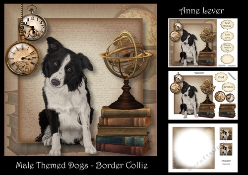 Male Themed Dogs - Border Collie
