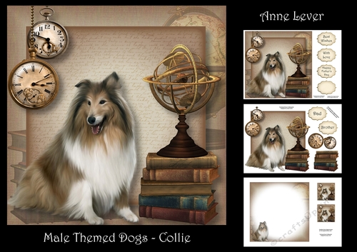 Male Themed Dogs - Collie