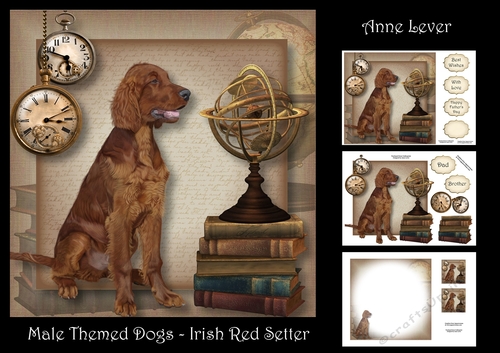 Male Themed Dogs - Irish Red Setter