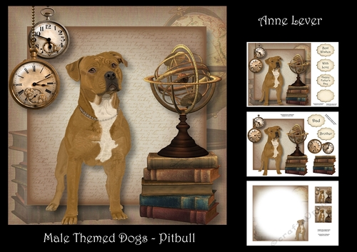 Male Themed Dogs - Pitbull