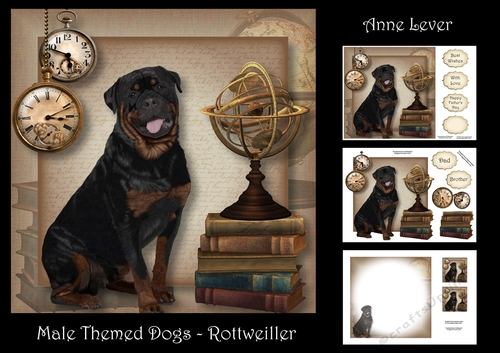 Male Themed Dogs - Rottweiller 