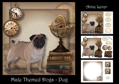 Male Themed Dogs - Pug