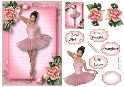 Beautiful Ballerina - Pink Roses A5