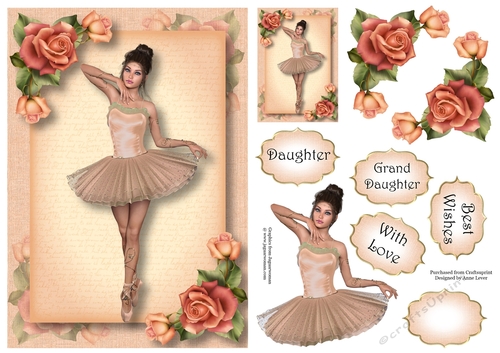 Beautiful Ballerina - Peach Roses A5