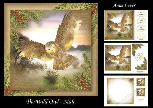 The Wild Owl - Male
