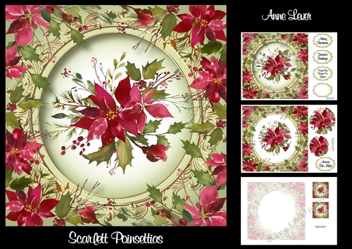 Scarlett Poinsettias