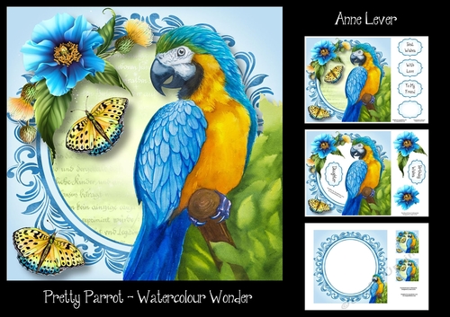 Pretty Parrot - Watercolour Wonder