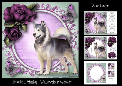 Beautiful Husky - Watercolour Wonder