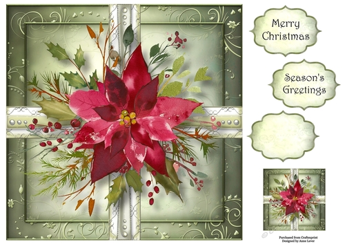 Scarlet Poinsettia Christmas Present 8x8