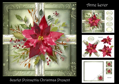 Scarlet Poinsettia Christmas Present