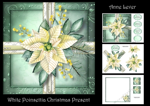 White Poinsettia Christmas Present