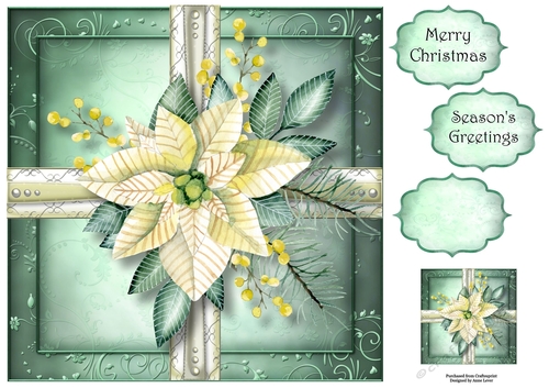 White Poinsettia Christmas Present 8x8