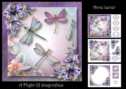 A Flight Of Dragonflies