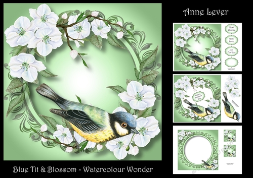 Blue Tit & Blossom - Watercolour Wonder