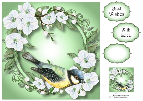 Blue Tit & Blossom - Watercolour Wonder 8x8