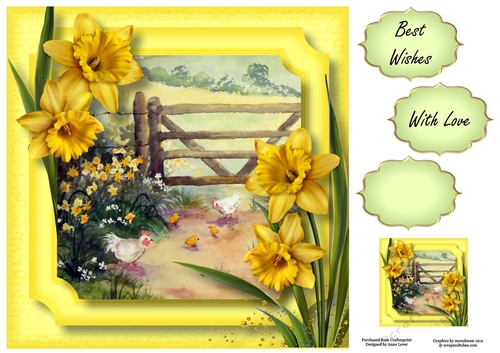 Daffodils & Chickens 8x8