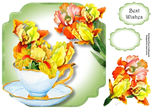 Gorgeous Yellow Iris - Teacup & Saucer