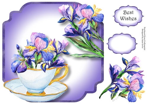 Pretty Purple Iris - Teacup & Saucer