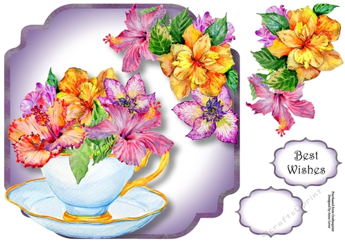 Gorgeous Hibiscus Blooms - Teacup & Saucer