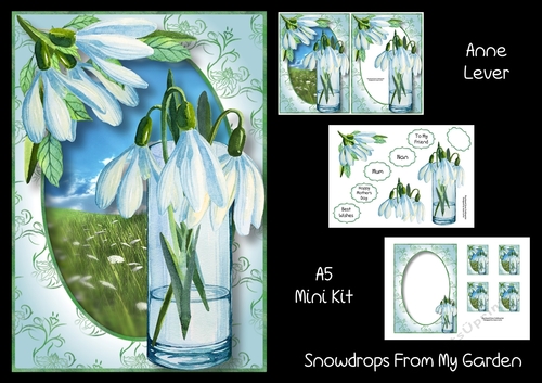 Snowdrops From My Garden