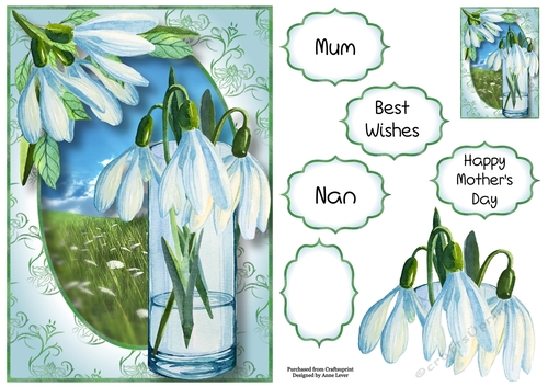 Snowdrops From My Garden A5