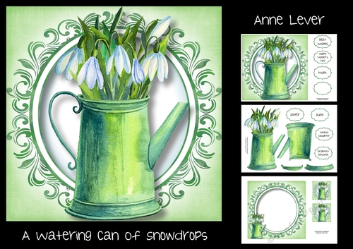 A watering can of snowdrops