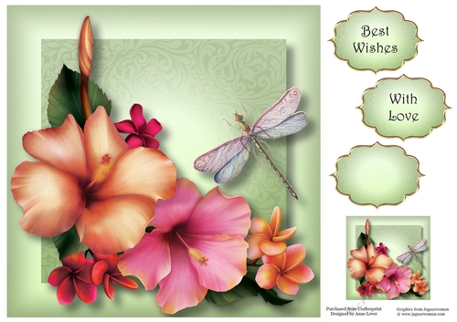 Hibiscus Dragonfly 8x8