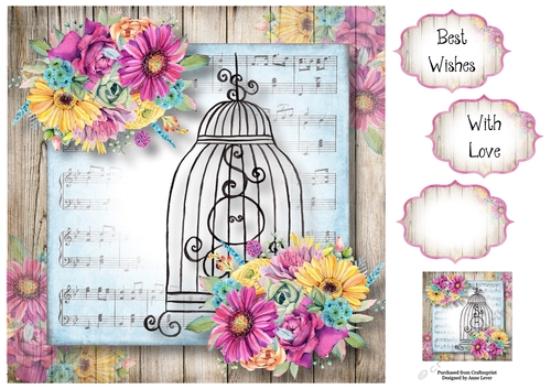 Beautiful Floral Birdcage With Fiesta Flowers 8x8