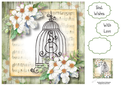 Beautiful Floral Birdcage With Daisies 8x8