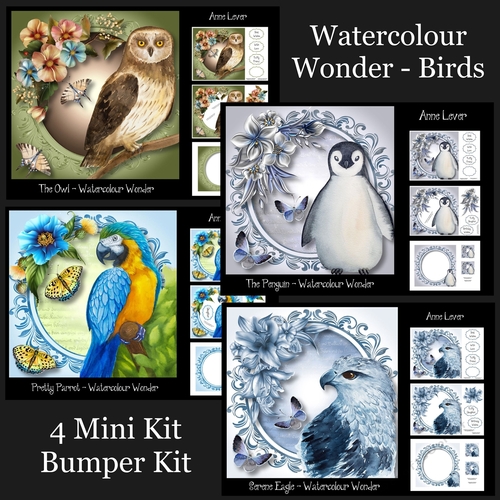 Watercolour Wonder - Birds Bumper Kit