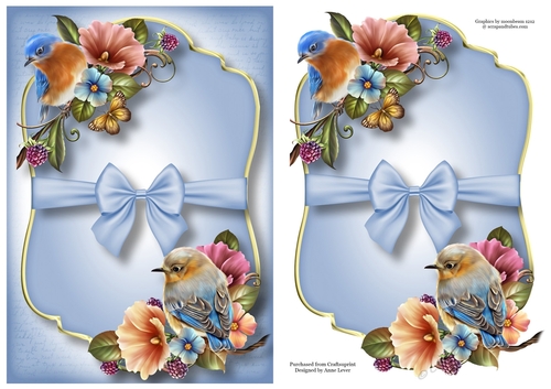 Gold edged Mat & Bow - Beautiful Birds
