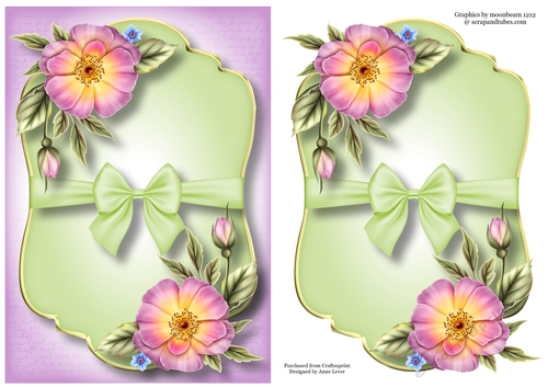 Gold Edged Mat & Bow - Pink Wild Rose