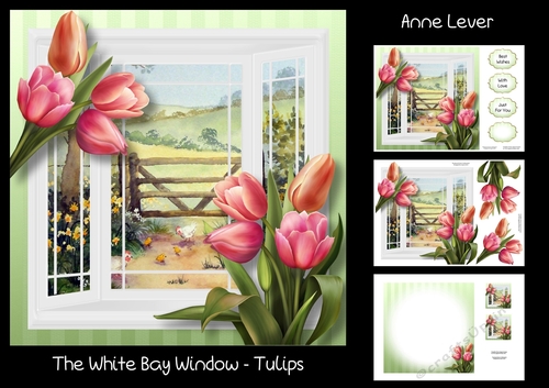The White Bay Window - Tulips