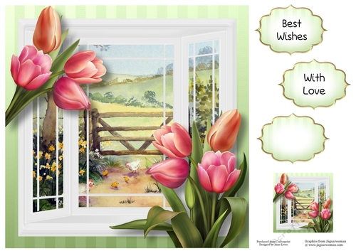 The White Bay Window - Tulips 8x8