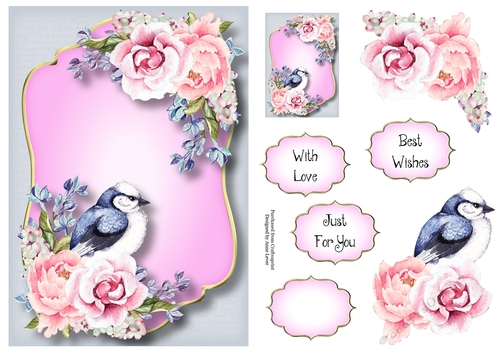 Beautiful Bird & Blooms - Pink & Blue A5