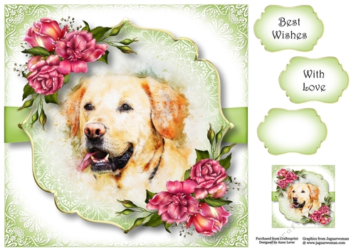 Gorgeous Golden Lab & Glory Roses 8x8